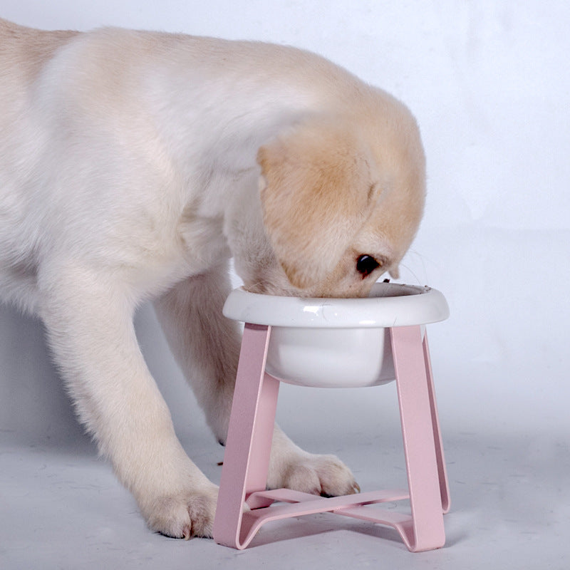 Elevate Your Pet's Dining Experience with Our Antislip Feeding Bowl